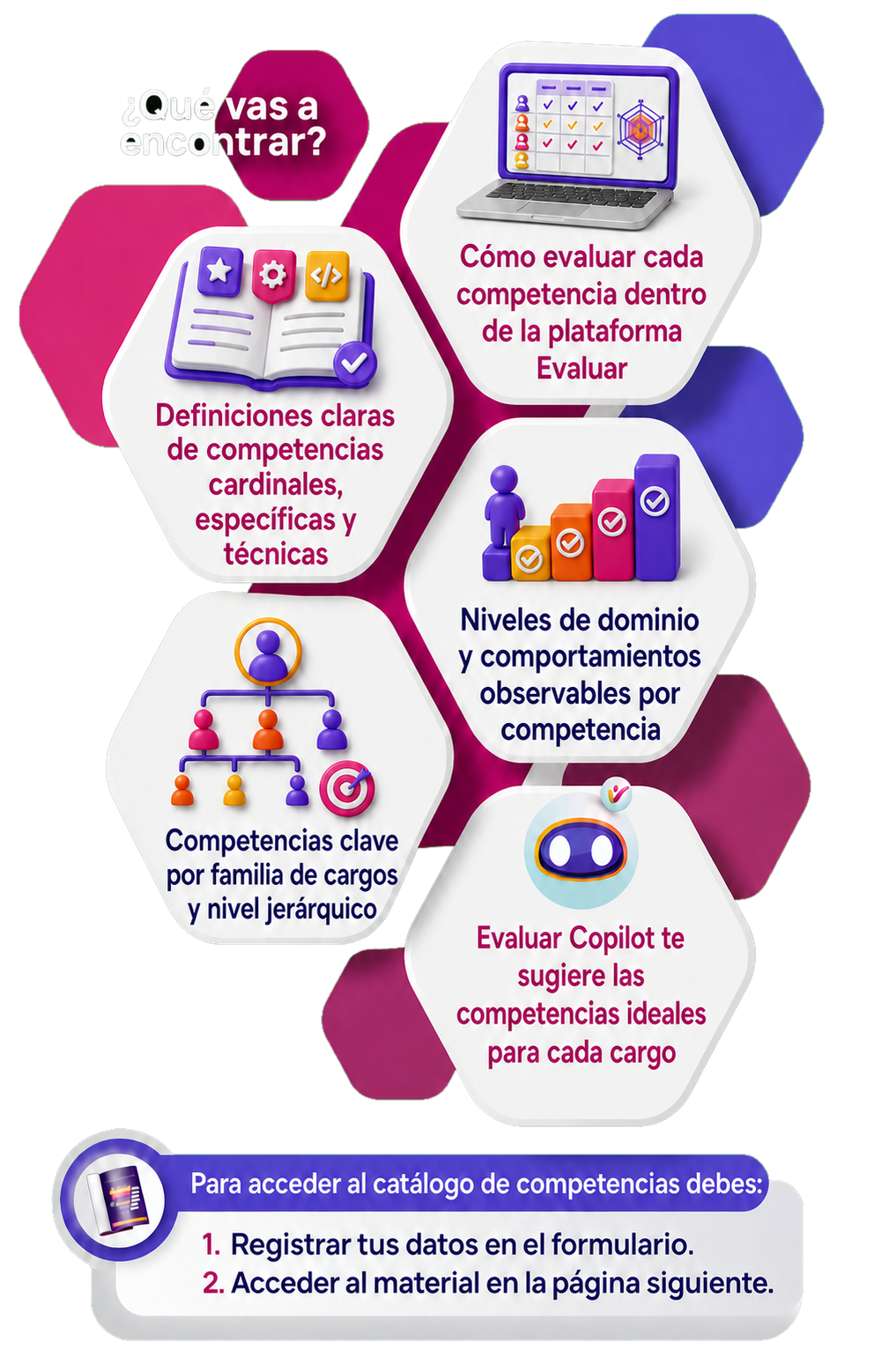 Infografia-Catalogo-competencias-v3-transparente-1 Infografia-Catalogo-competencias-v3-transparente-1
